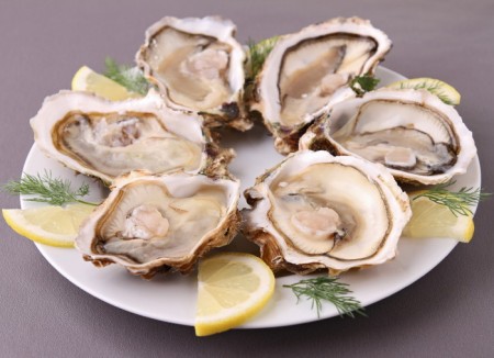 H-431 Plato de ostras